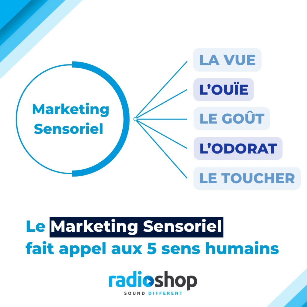 MARKETING SENSORIEL 5 SENS HUMAIN RADIOSHOP